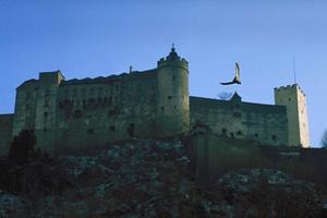 山口県周南市にある快適なビジネスホテル【東横INN徳山駅北口】の魅力と詳細情報