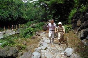 一度は行きたいブータンツアーを体験可能