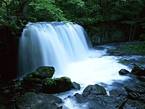 独自源泉が自慢の下呂温泉のホテル