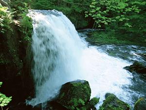 東横INN大田政府庁舎前：快適なビジネスと観光に最適な格安ホテルの詳細ガイド