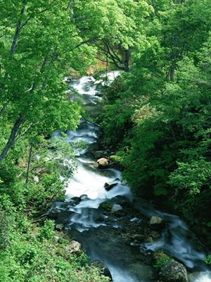 短時間で移動可！小豆島フェリーは効率的