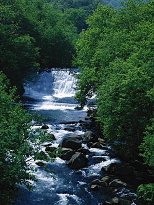 茨城県土浦市のビジネスホテル【東横INN土浦駅東口】の魅力と快適な滞在ポイント