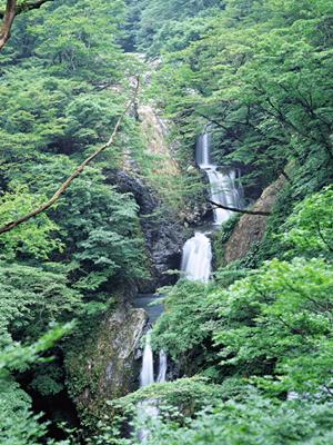 富山市のビジネスホテル「東横INN富山駅新幹線口2」の魅力と詳細情報まとめ