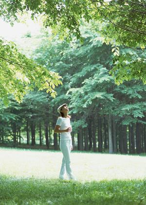 ハワイ旅行を企画しましょう