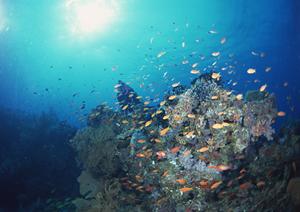 【公式】東横INN梅田中津1｜大阪市北区のビジネスホテル完全ガイド