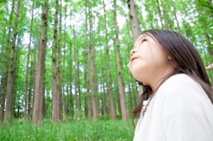 伊豆高原の絶景と海の幸を満喫できる赤沢日帰り温泉館の魅力と最新情報
