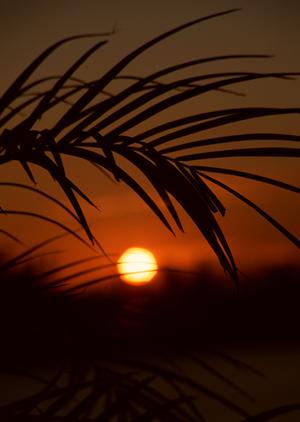 2026年版：神戸で最高のホテル選びと宿泊ガイド