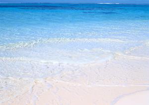 静岡市のシティホテル「中島屋グランドホテル」内のレストラン「クロスロード」の魅力と特徴