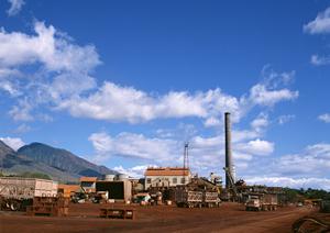 2025年最新版：JAL株主優待券のメリットと効果的な活用法