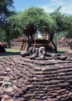 釜山海雲台にある東横INNホテルの魅力と詳細情報：充実の設備と便利なアクセスで快適な滞在を実現