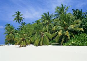 中部国際空港近くの快適な宿泊を提供する東横INN中部国際空港2の魅力と詳細情報