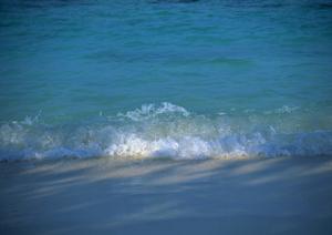 ハワイのオプショナルツアーを予約できる専門サイト