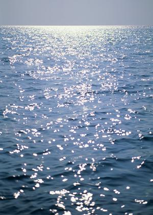 雀荘なら「麻雀広場 じゃんまる」