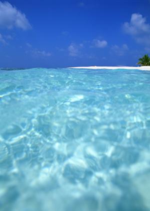 住友不動産ヴィラフォンテーヌ羽田空港直結｜ラグジュアリーと利便性を追求した最新ホテルの全容