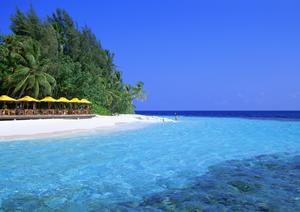 韓国・ソウルのビジネスと観光に最適な東横INNソウル江南：快適な宿泊体験と便利なアクセス情報