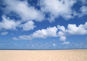 西葛西で快適な滞在を実現！東横INN西葛西の魅力と最新情報