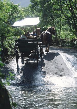 浜松駅から徒歩5分！快適な滞在を提供する【東横INN浜松駅北口】の魅力と特徴