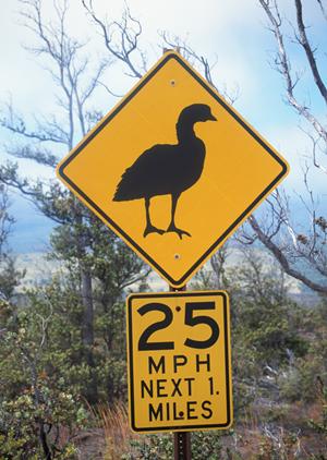 快適なビジネス旅をサポート！東横INN日本橋三越前A4の魅力と特徴