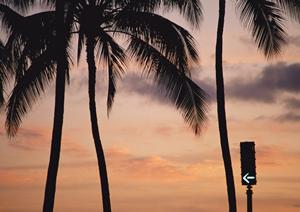 国内旅行へ行くなら小豆島へ行こう