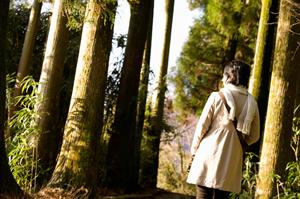 アドベンチャートラベルを楽しむなら必見！最新エコツアー＆ローカル体験ガイド