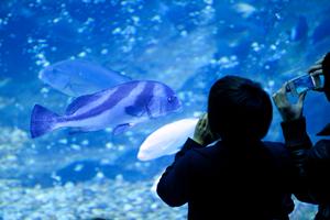 セントレアの駐車場はサニーパーキングへ